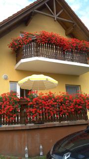 Akácfa Hortenzia Apartman - Zalakaros - 4