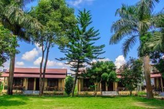 Tiger Residency Resort - Sauraha - 6