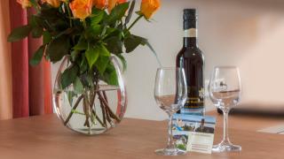 Studio Seeblick-Mohren - Hagnau am Bodensee - 4