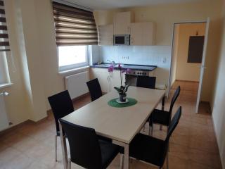 Forsthaus Appartements - Braunschweig - 2