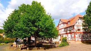 Landhotel Gemeindeschänke - 4