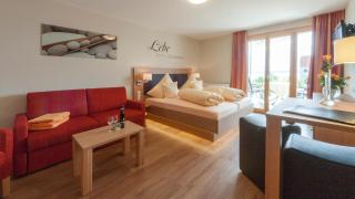 Studio Seeblick-Mohren - Hagnau am Bodensee - 7