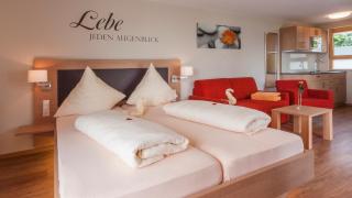 Studio Seeblick-Mohren - Hagnau am Bodensee - 8