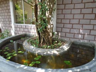 Livinginn Polonnaruwa - 8