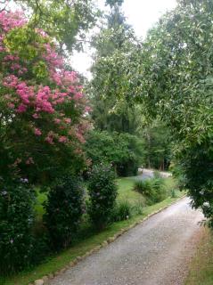 Gite-Holiday Home Au Moulin 1771 - Monein - 3