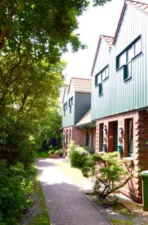 FH Austernfischer I/Nr. 1 - Spiekeroog - 9