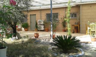 Sunny holiday home - 1