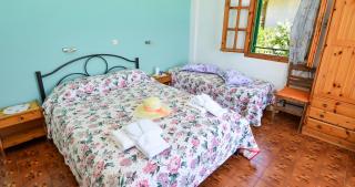 Alex-Giannis Apartments, Barbati - Barbati - 6
