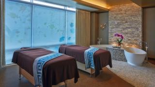 Hotel Arista - Naperville - 6