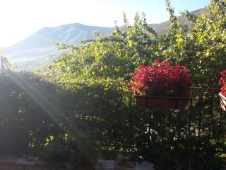 Cusanarella Mia - Cusano Mutri - 1