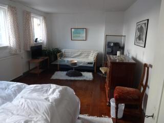Aakirkeby Bed and Breakfast - Åkirkeby - 2