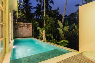Bije Suite Villa Ubud - 5