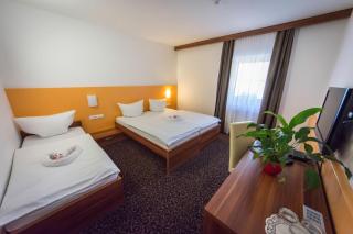 Domačija Vodnik & Apartments - Cerklje na Gorenjskem - 6