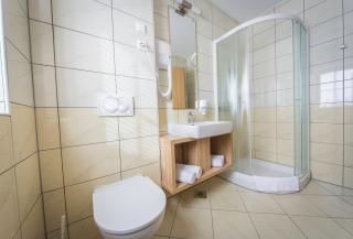 Domačija Vodnik & Apartments - Cerklje na Gorenjskem - 4