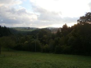 Hotel Restaurant De La Roche - 7