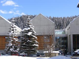 All In One Hotel - Inn Lodge / Swiss Lodge - Celerina/Schlarigna - 8