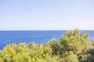 Ram De Mar - Font de Sa Cala - 6