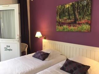 Garden Hotel Rennes Centre Gare - Rennes - 3