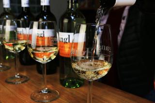 Beim Gangl - Illmitz - 1