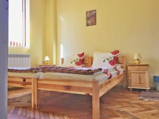 Villa Belitsa - 8