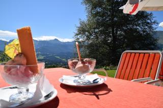Gasthof Hotel IFENBLICK - Sibratsgfäll - 7