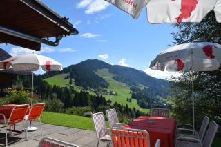 Gasthof Hotel IFENBLICK - Sibratsgfäll - 3