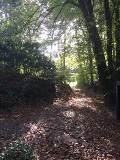 Bos Huisje - Putten - 8