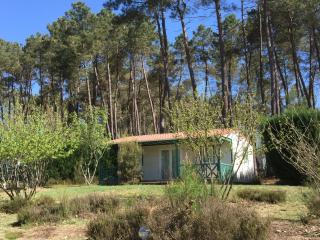 DOMAINE des GRANDS PINS - 1