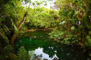 Mayan Oasis - Akumal - 6