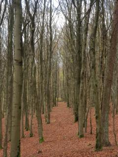 Apartment Am Sternberg 236 - 2