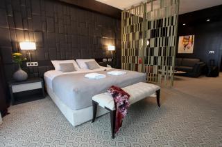 Hotel Orhideea - Negreşti-Oaş - 1