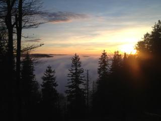 LES GITES DE LA SERVA - Champ du feu - Montagnes- Vosges - Belmont - 8