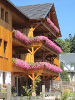 Les Gîtes d'Adelspach Gîtes & Spa en Alsace - Aubure - 8