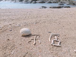 Cai Jyu B&B - Magong - 3