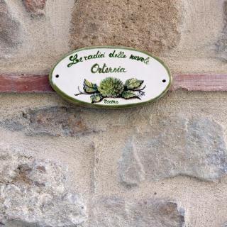 Le radici delle nuvole - Cairano - 4