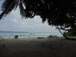 Gold India Beach Resort - Havelock Island - 0