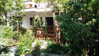 Gartenblick - Zingst - 0