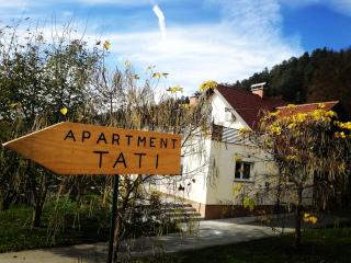 Apartment Tati - Dol pri Ljubljani - 3