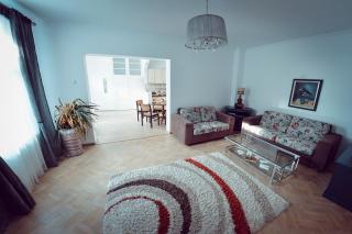 Antique Apartment Sibiu - 8