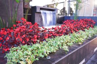 San Juan Hotel Boutique Pasto - Pasto - 5