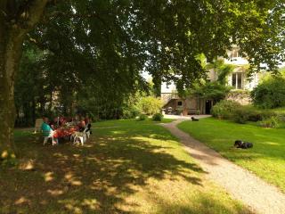 Chateau du Pont Jean - Fresse-sur-Moselle - 9