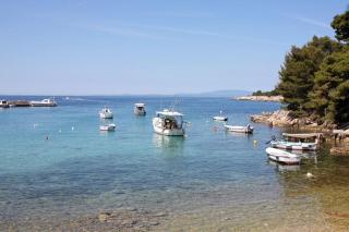 Apartment Suha Punta 5050a - Rab - 7