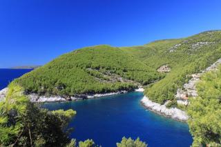 Secluded fisherman's cottage Cove Bratinja Luka, Korcula - 12599 - 5