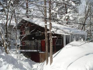 Hakuba Echo Hotel and Apartments - Hakuba - 5