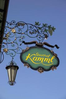 Hotel Gasthof Kamml - Wals-Siezenheim - 2