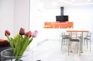 Smart Tech Plaza Flat - Salamanca - 1