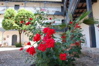 Luxury Apartment Plus Ultra - Sevilla - 5