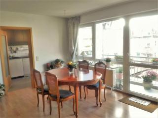 Große Wohnung für Gruppe - Nuremberg - 8