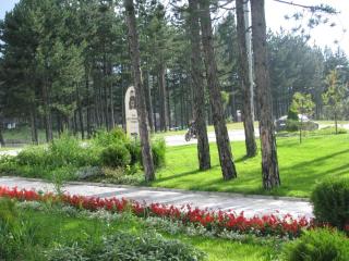 Apartments TO Zlatibor - 7