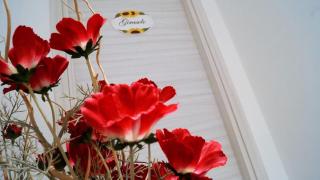 B&B La Vie en Rose - Salerno - 2